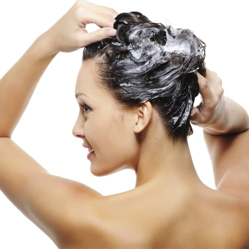 شامبو - Shampoo